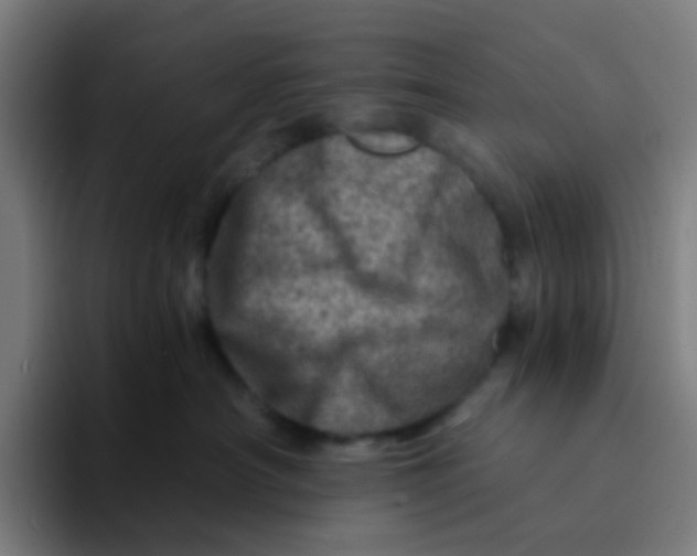 X0000094200430200711161812