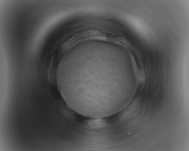 X0000094200431200711161812