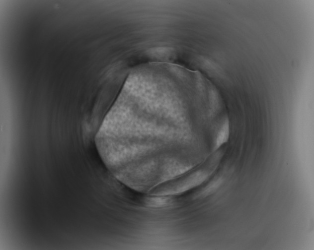 X0000094200432200711161812