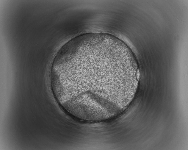 X0000094200433200711161811