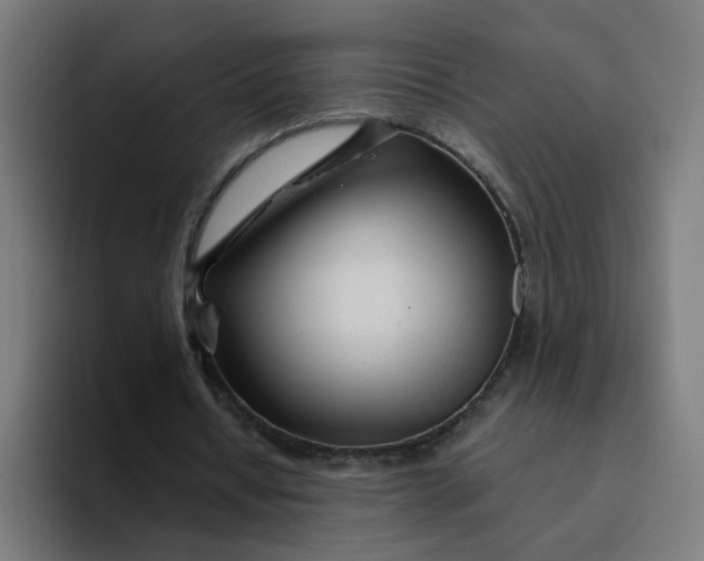 X0000094200434200711161811