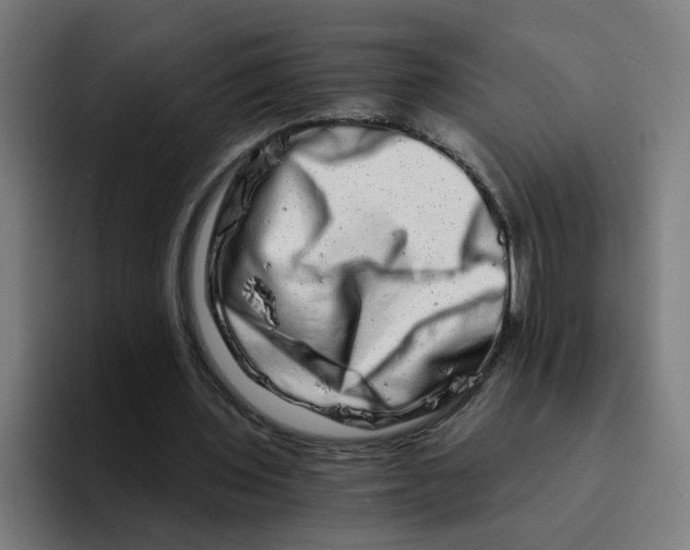 X0000094200435200711161811