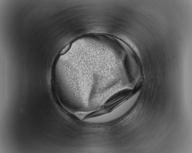 X0000094200437200711161811