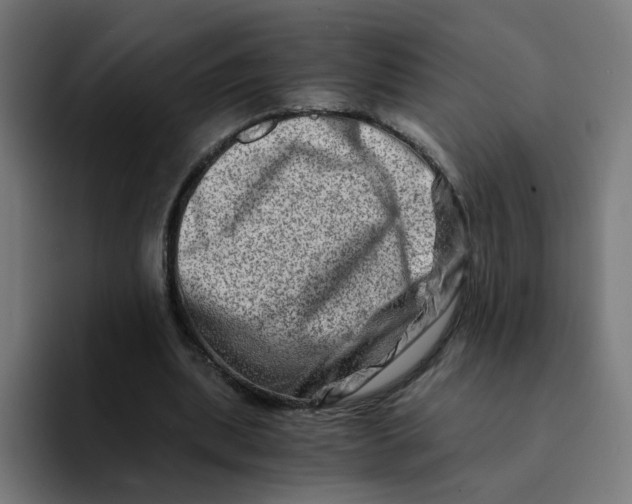 X0000094200439200711161811