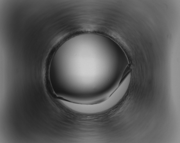 X0000094200440200711161811