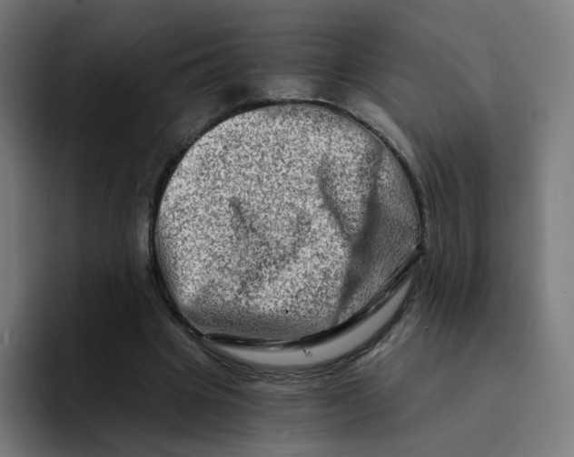 X0000094200441200711161811