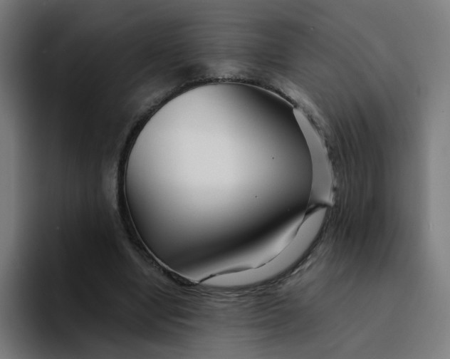 X0000094200442200711161811