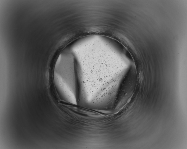 X0000094200444200711161811