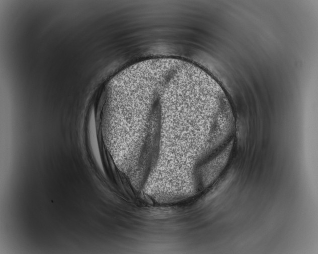 X0000094200445200711161811