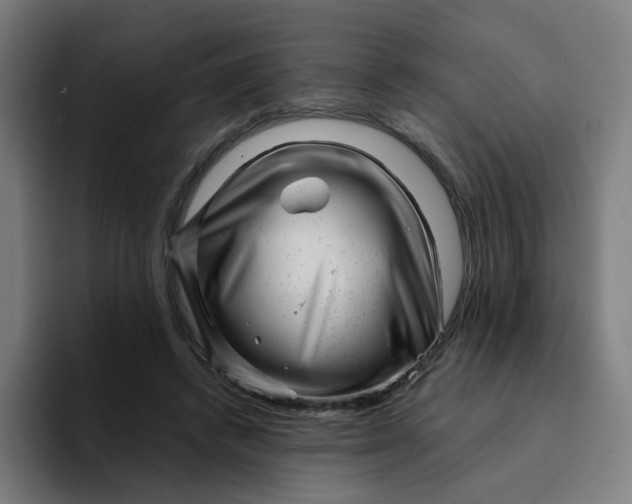 X0000094200448200711161811