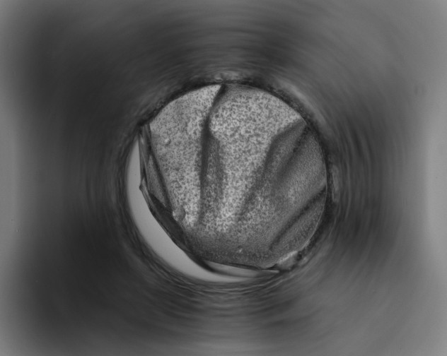 X0000094200451200711161811