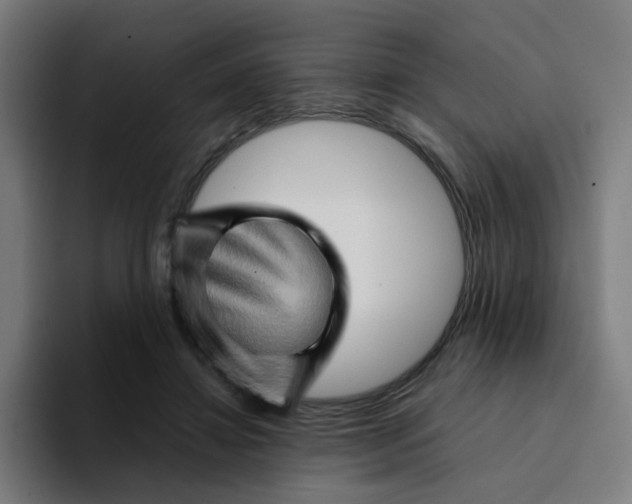 X0000094200452200711161811