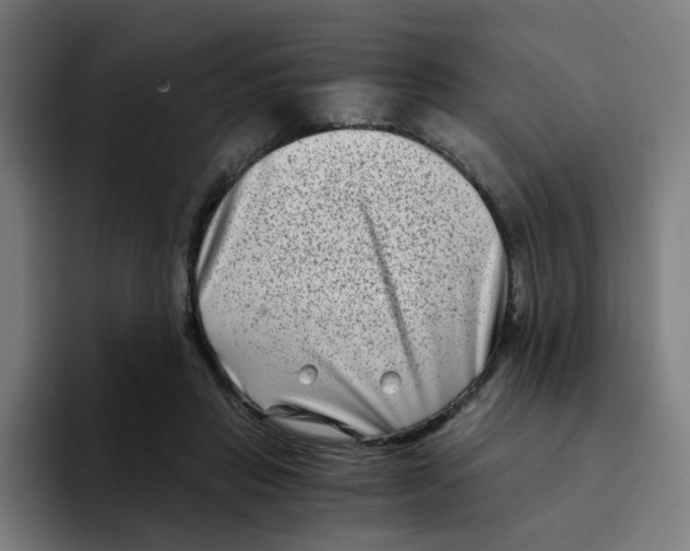 X0000094200453200711161811