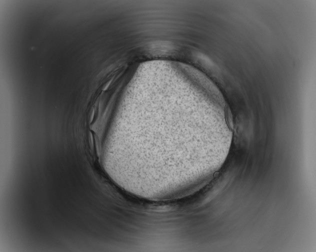 X0000094200454200711161811