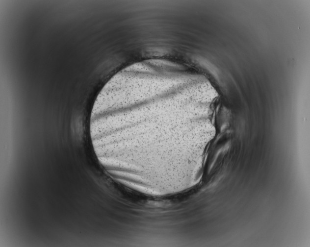 X0000094200455200711161811