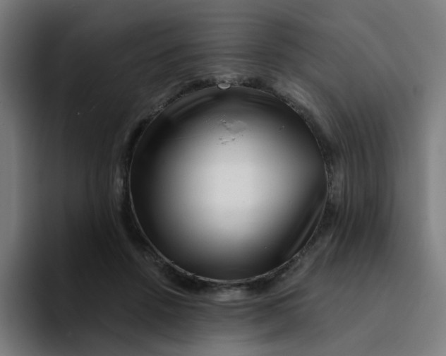 X0000094200456200711161811