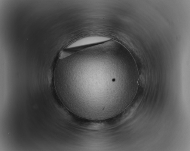 X0000094200458200711161811