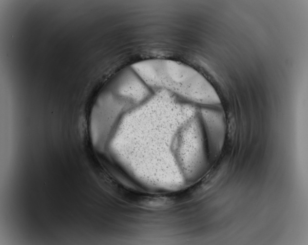 X0000094200459200711161812