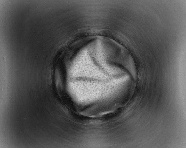 X0000094200462200711161812