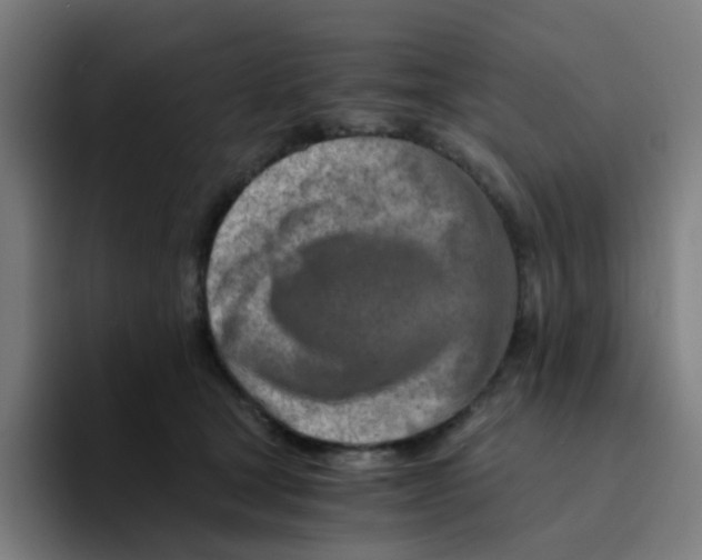 X0000094200465200711161812