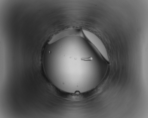 X0000094200466200711161812