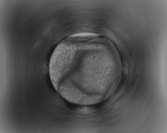 X0000094200467200711161812