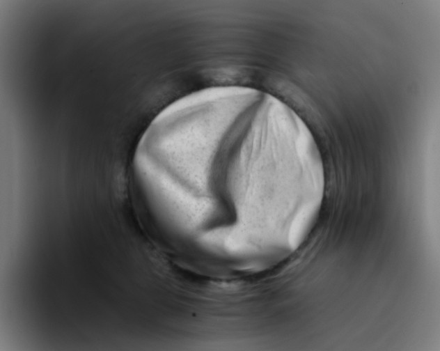 X0000094200469200711161812