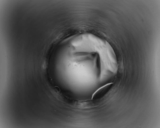 X0000094200472200711161812