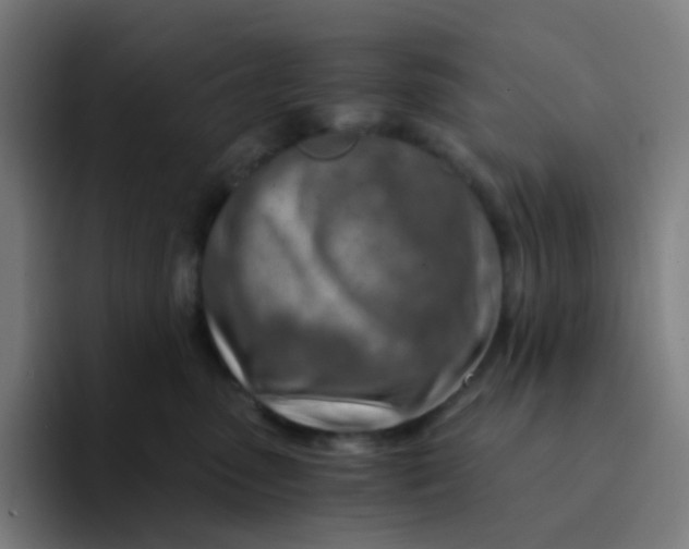 X0000094200475200711161812