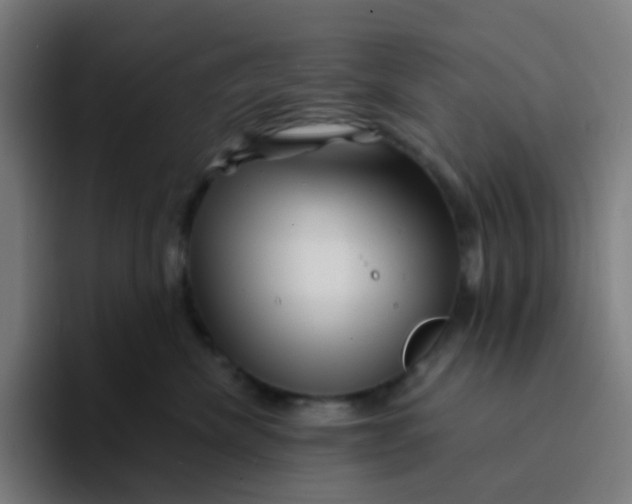 X0000094200476200711161812