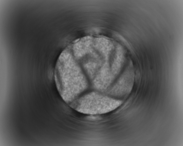 X0000094200477200711161812