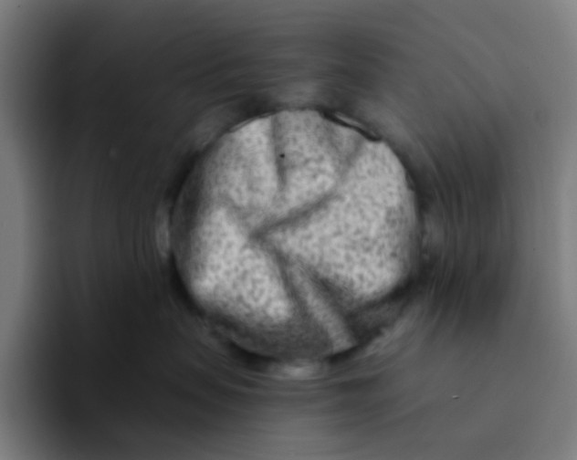 X0000094200479200711161812