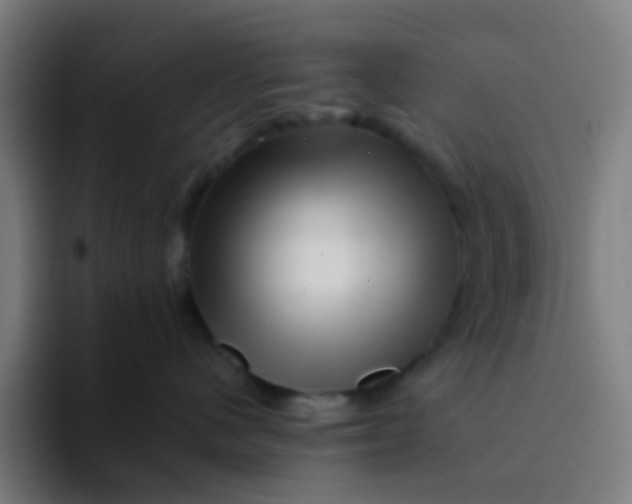 X0000094200480200711161812