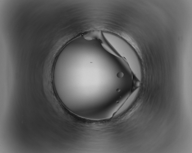 X0000094200481200711161811