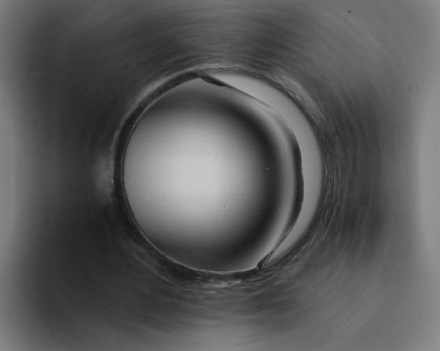 X0000094200484200711161811