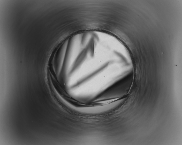 X0000094200485200711161811