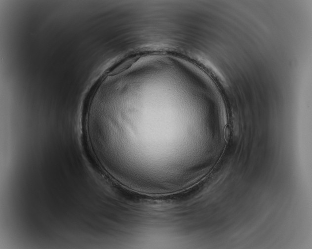 X0000094200486200711161811