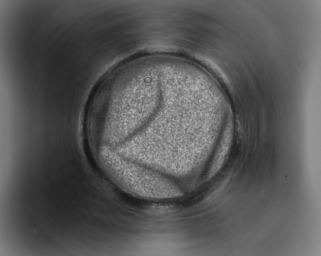 X0000094200487200711161811