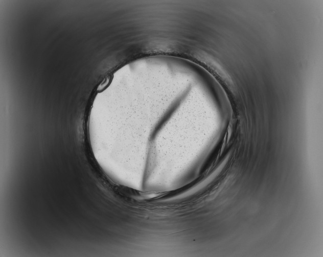 X0000094200489200711161811