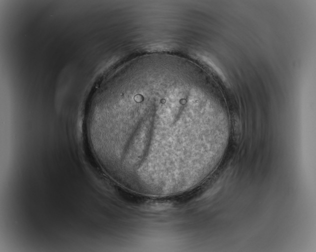 X0000094200491200711161811