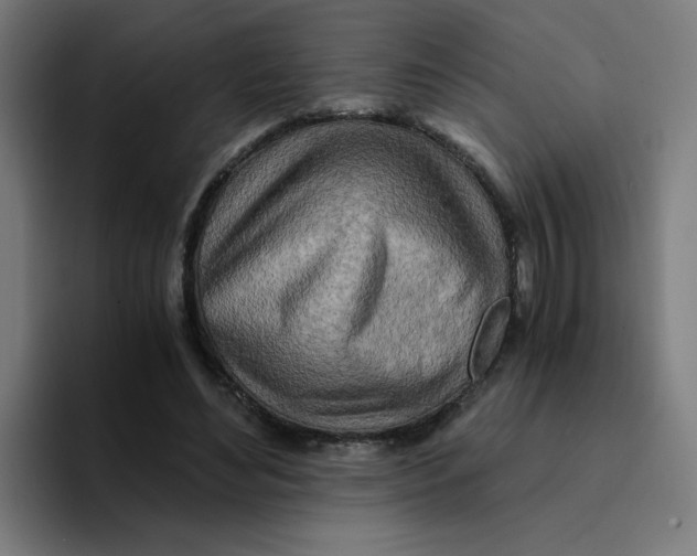 X0000094200492200711161811