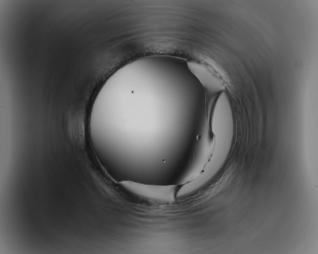 X0000094200493200711161811