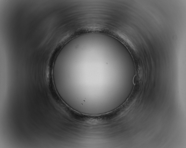 X0000094200494200711161811