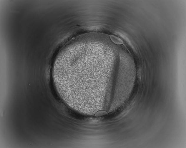 X0000094200495200711161811