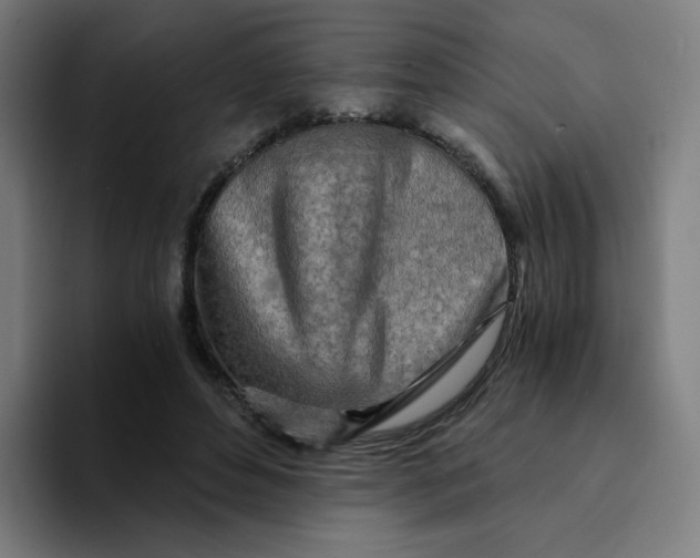 X0000094200496200711161811