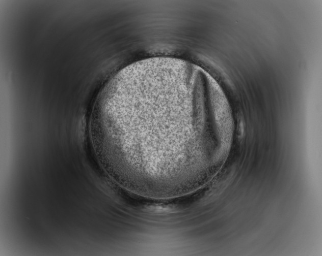 X0000094200498200711161811