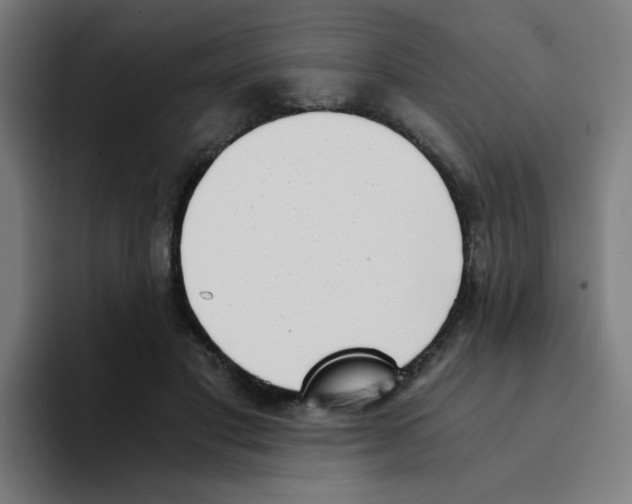 X0000094200501200711161811