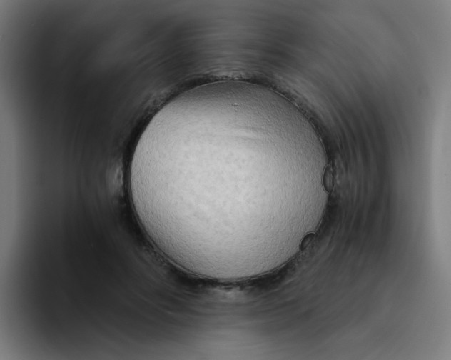 X0000094200502200711161811