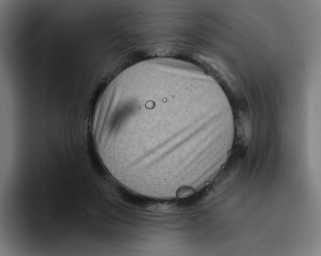 X0000094200503200711161811