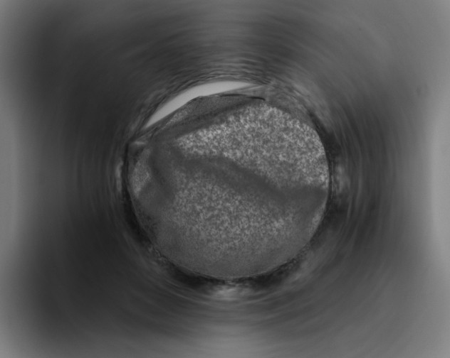 X0000094200504200711161811